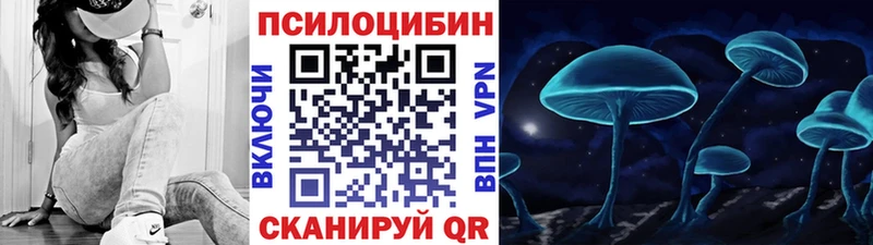 hydra маркетплейс  Западная Двина  Псилоцибиновые грибы мицелий  магазин продажи  